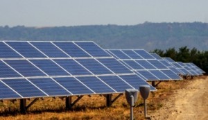 Panouri fotovoltaice montate pe pământ